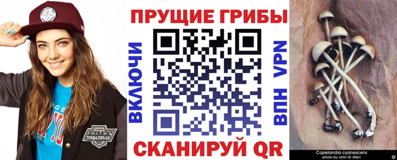 Псилоцибиновые грибы GOLDEN TEACHER  Купить  Сортавала 